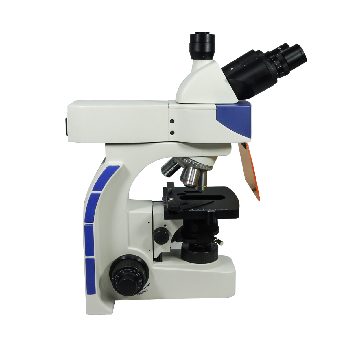 Fluorescence Microscope